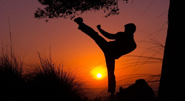 Moonlight Movies at Falls Park in downtown Greenville Fall Edition kicks off Sept. 4th with The Karate Kid