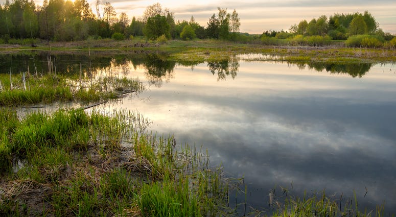 Duke Energy helping to protect the wetlands in Unity Park in Greenville with a $500,000 donation. Duke Energy helping to protect the wetlands in Unity Park in Greenville with a $500,000 donation.