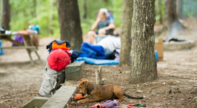 Camping - Getty Images Camping - Getty Images