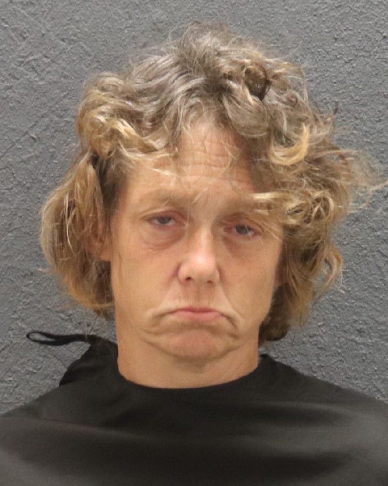 Melissa Ann Driver - OCSO Melissa Ann Driver - OCSO