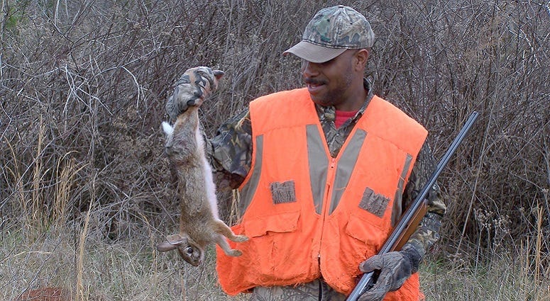Rabbit Hunting