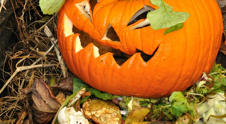 5 Ways to Recycle Your Halloween Pumpkins Old Jack-O-Lantern in a compost bin