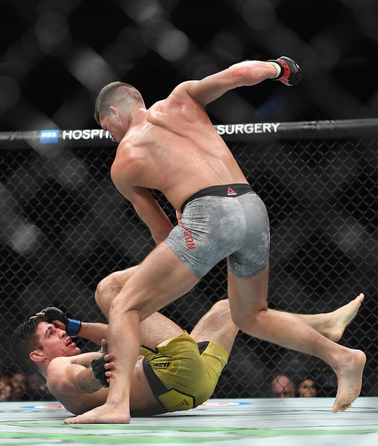 Nov 2, 2019; New York, NY, USA; Stephen Thompson (red gloves) fights Vicente Luque (blue gloves) during UFC 244 at Madison Square Garden. Mandatory Credit: Sarah Stier-USA TODAY Sports