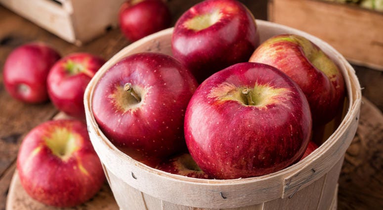 Cosmic Crisp Apple to hit produce departments Cosmic Crisp Apple to hit produce departments