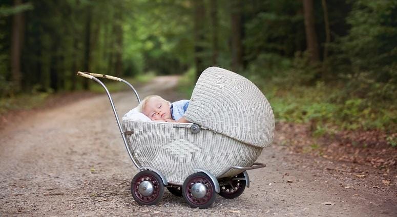 Baby Bassinet and other items found abandoned in the woods baby bassinet in woods