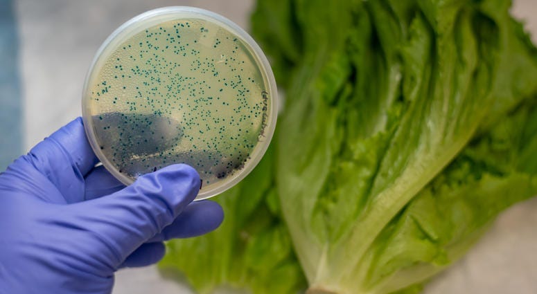 The CDC says do not eat Romaine Lettuce from Salinas, California The CDC says do not eat Romaine Lettuce from Salinas, California