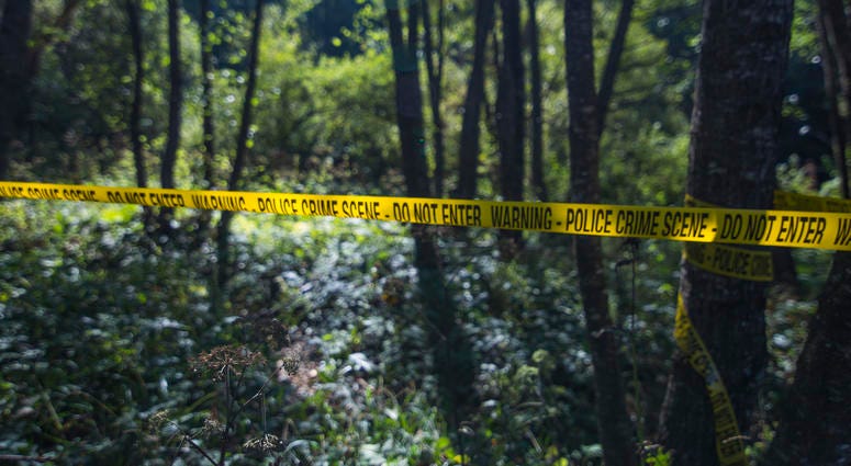 31 yr old Melissa Whitis' burned body found in Chester County, SC ditch.