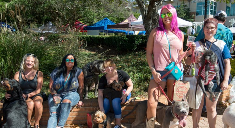 WoofStock Fall 2017 woofstock 2017