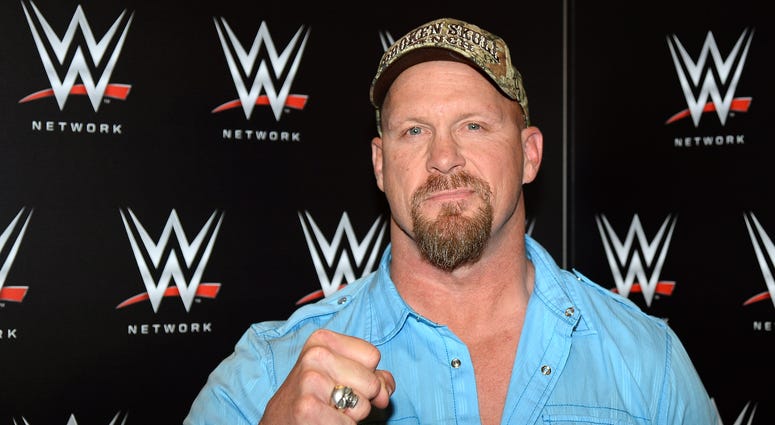 WWE Wrestling