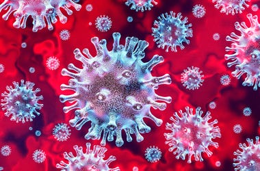 coronavirus