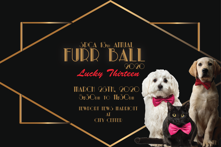 2020 Fur Ball Graphic.png