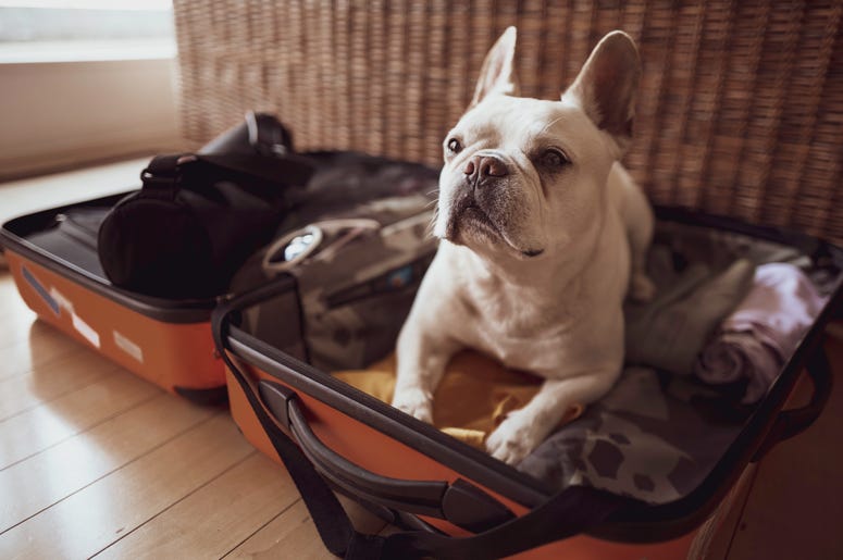 travel